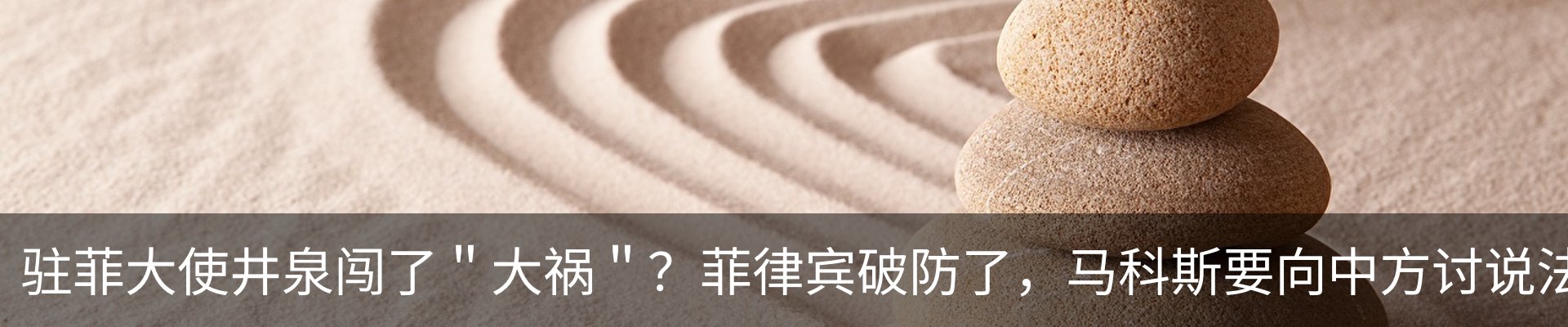 最新动态